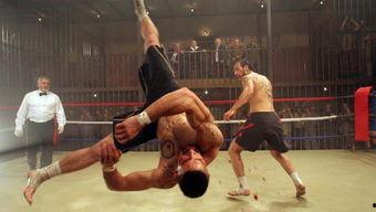 搏击教育视频搞笑成人,搏击教育视频中的搞笑人生启示