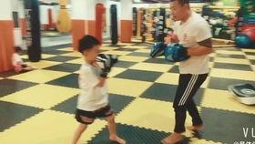 搏击教育视频搞笑成人,搏击教育视频中的搞笑人生启示