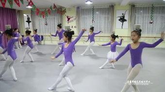 成人跳操训练视频教学,轻松入门成人健身训练