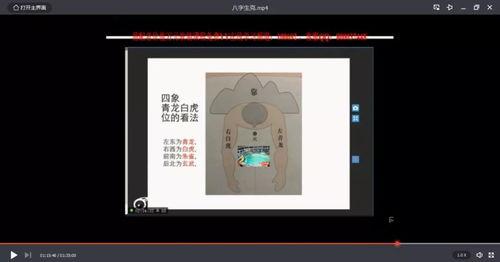 成人画板组装教程视频大全,成人画板组装教程视频大全精华汇总