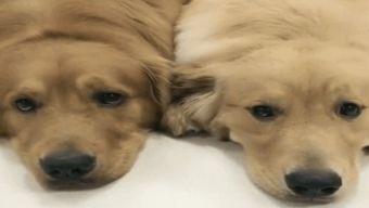 成人动作激情视频,成人动作电影精彩片段回顾