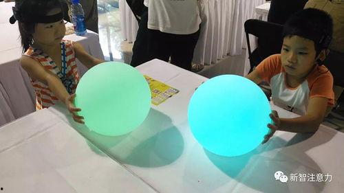 成人少儿学习视频,探索成人少儿学习视频的奥秘